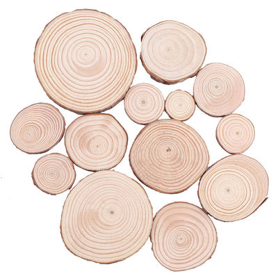 16CM de Onvolledige Natuurlijke Houten Ambachten van Plakken Houten Schijven