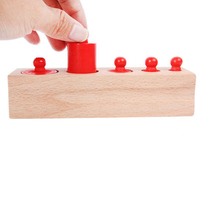 3cm de Sensorische Kleuterschool van de Cilinderblokken van Montessori van de Cilindercontactdoos Knobbed