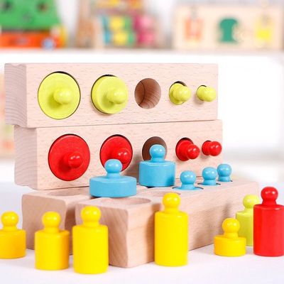 3cm de Sensorische Kleuterschool van de Cilinderblokken van Montessori van de Cilindercontactdoos Knobbed