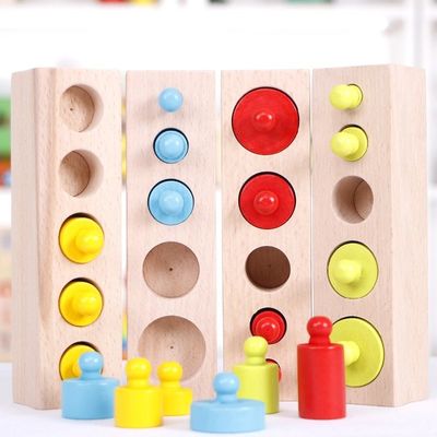 3cm de Sensorische Kleuterschool van de Cilinderblokken van Montessori van de Cilindercontactdoos Knobbed