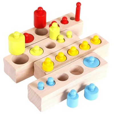 3cm de Sensorische Kleuterschool van de Cilinderblokken van Montessori van de Cilindercontactdoos Knobbed
