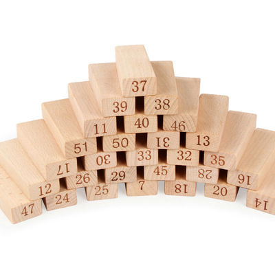 De digitale 51PCS-Blokken van de Domino'sjenga van LogboekBouwstenen