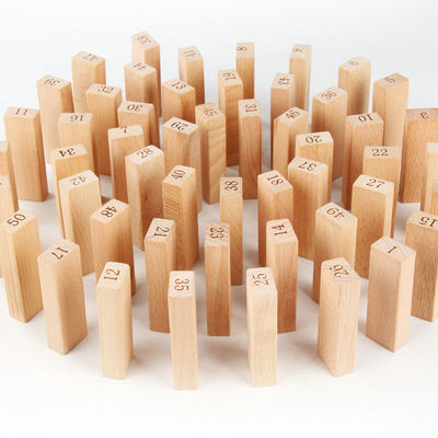 De digitale 51PCS-Blokken van de Domino'sjenga van LogboekBouwstenen