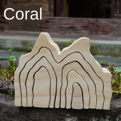 Ins de Golvende Houten van de het Speelgoed Houten Regenboog van het Blokraadsel Blokken Coral Grimm
