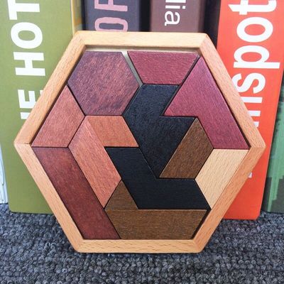 Puzzels van Montessori van kinderen de Hexagonale Houten
