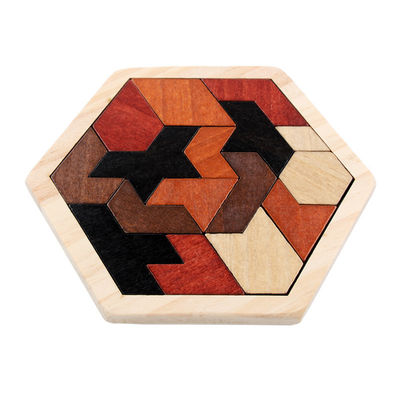 Puzzels van Montessori van kinderen de Hexagonale Houten