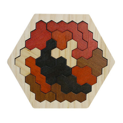 Puzzels van Montessori van kinderen de Hexagonale Houten