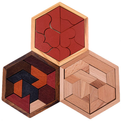 Puzzels van Montessori van kinderen de Hexagonale Houten
