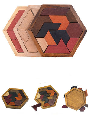 Puzzels van Montessori van kinderen de Hexagonale Houten