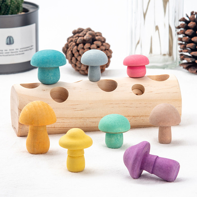 Jonge geitjes de Houten Paddestoel het Plukken 3D Blokken DIY van de Speelgoedregenboog