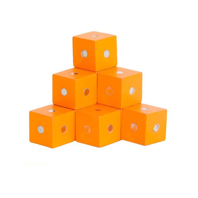 De onderwijs Vierkante Magnetische Houten Blokken 10pc 2X2X2cm van de Kubusregenboog