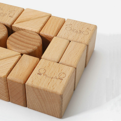 20pcs van het de Blokkenspeelgoed van beukburlywood Houten het Leren van Montessori Natuurlijk Onderwijs