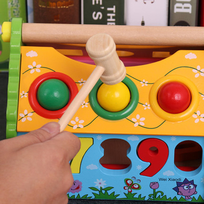 Van de de Sorteerderswijsheid van de jonge geitjesvorm het Huis Houten Heldere Montessori