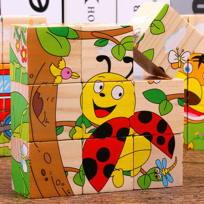 Het Speelgoed Dierlijk Fruit die van het baby Houten Blok vroeg Zes Zij 3D Kubusfiguurzaag leren