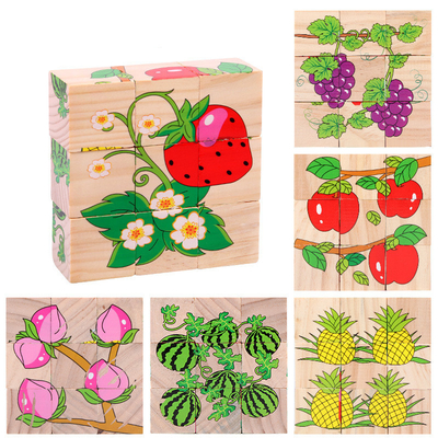 Het Speelgoed Dierlijk Fruit die van het baby Houten Blok vroeg Zes Zij 3D Kubusfiguurzaag leren