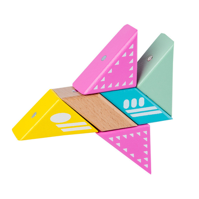 Het magnetische Jongens en Meisjesspeelgoed van het Verlichtingsblok voor Kinderjaren